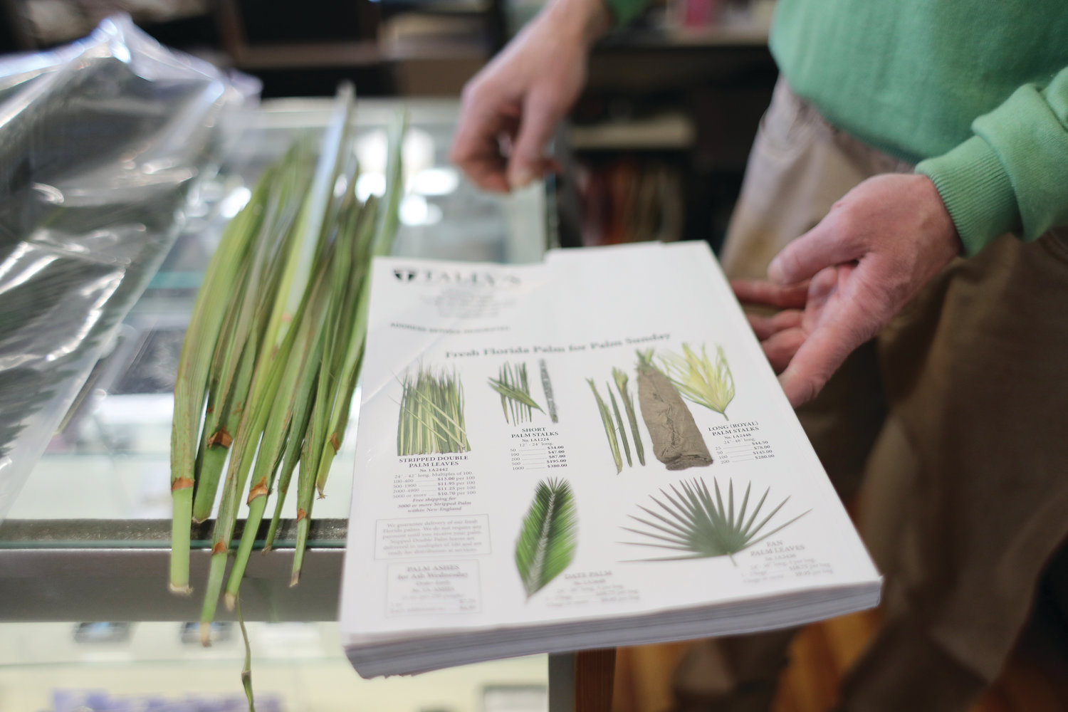 PJ Tally displays a catalog showcasing a variety of palms available to order for Palm Sunday celebrations in parish communities locally and throughout New England.